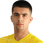 N. Labrovic